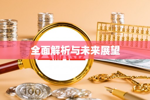 东坡全面解析与未来展望