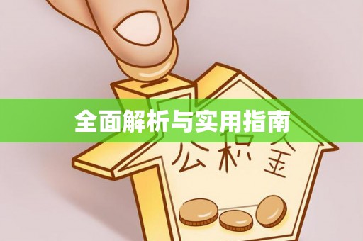 东坡全面解析与实用指南