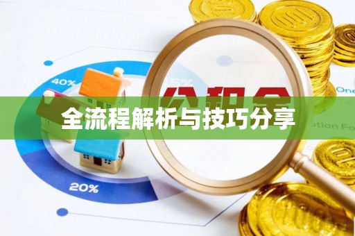 东坡全流程解析与技巧分享